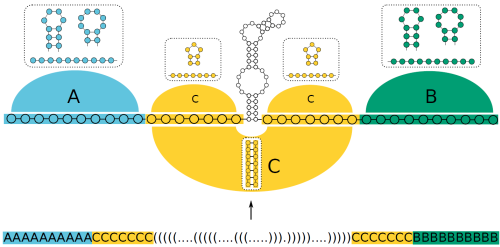 SECIS design with block constraints