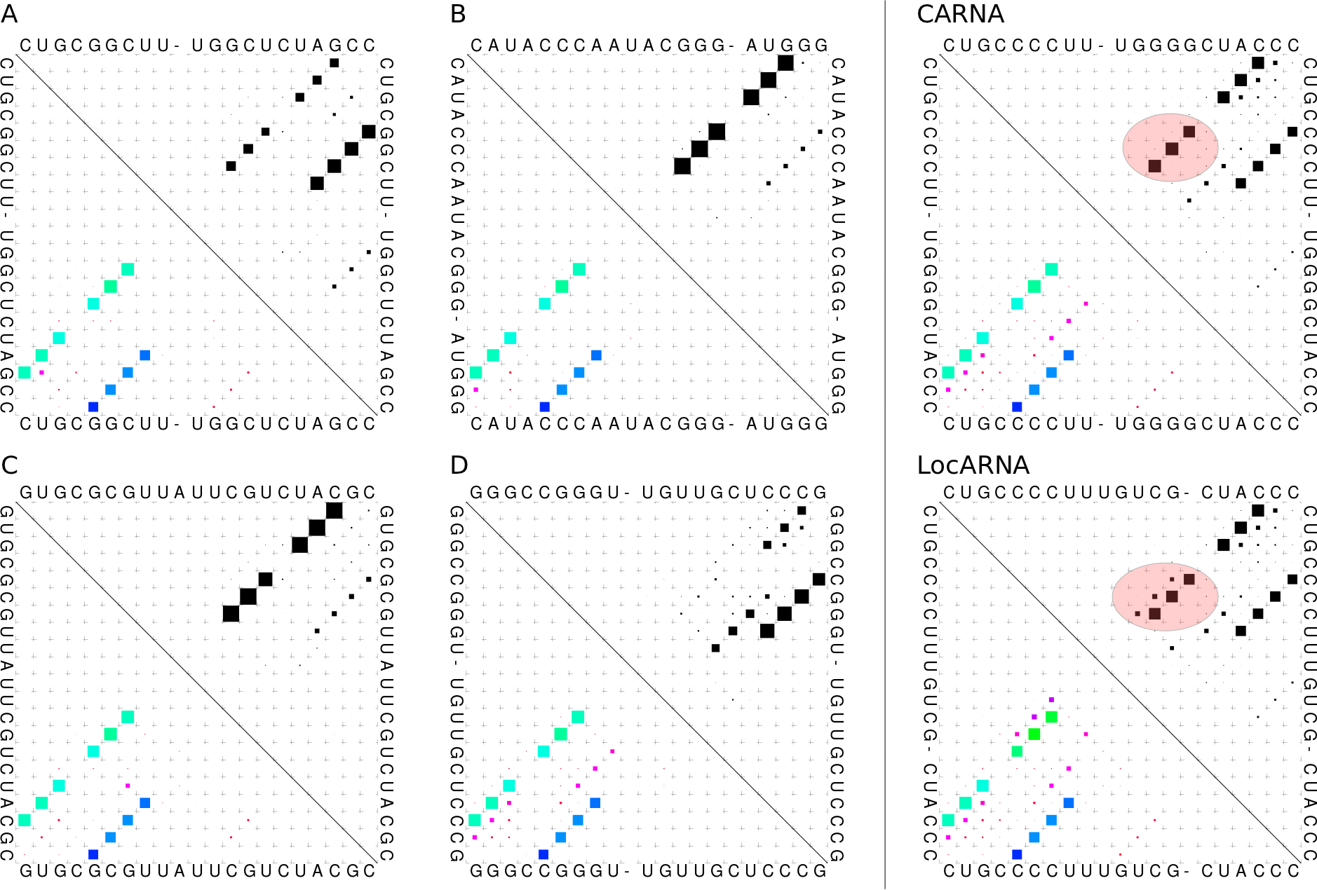 Multiple Conserved Structures