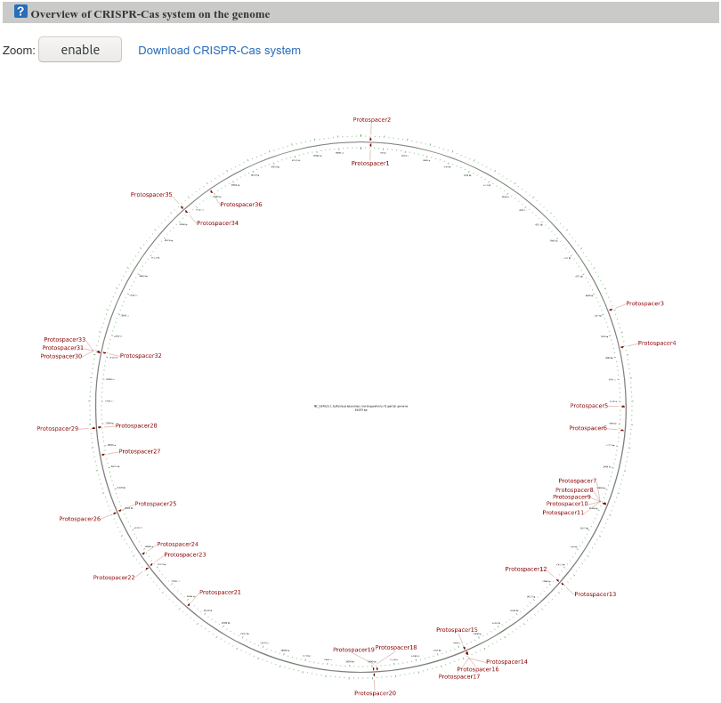 Overview CRISPR Cas genome virus.png