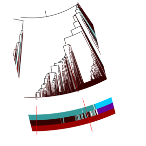 CRISPRmap Output sample2