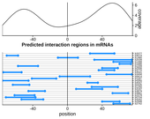 Query RNA region plot