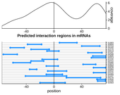 Query RNA region plot