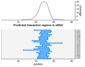 Target RNA region plot