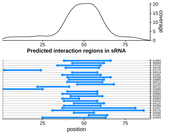 Target RNA region plot