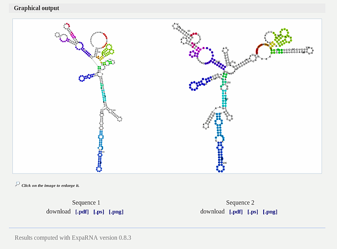 ExpaRNA Output Sample 2