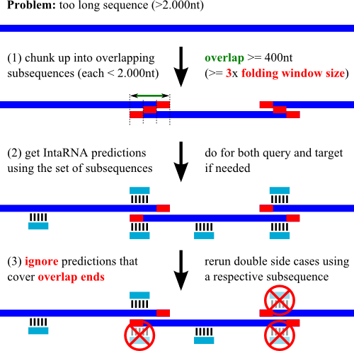 Handling of too long sequences for IntaRNA webserver input