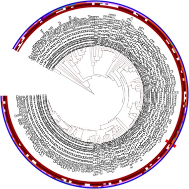 Subtree of structure motif no. 3